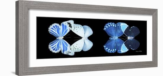Miss Butterfly X-Ray Duo Black Pano X-Philippe Hugonnard-Framed Photographic Print