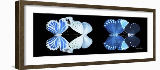 Miss Butterfly X-Ray Duo Black Pano X-Philippe Hugonnard-Framed Photographic Print