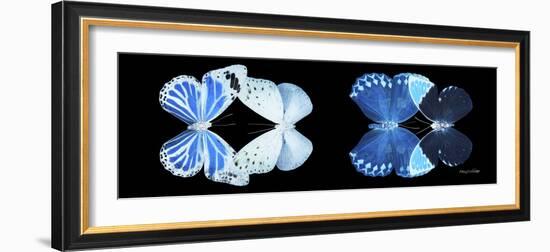 Miss Butterfly X-Ray Duo Black Pano X-Philippe Hugonnard-Framed Photographic Print