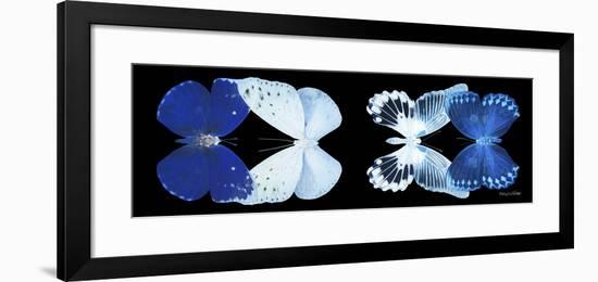 Miss Butterfly X-Ray Duo Black Pano XI-Philippe Hugonnard-Framed Photographic Print