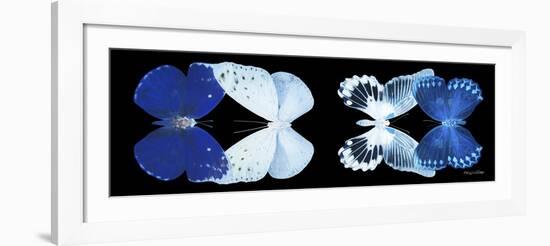 Miss Butterfly X-Ray Duo Black Pano XI-Philippe Hugonnard-Framed Photographic Print