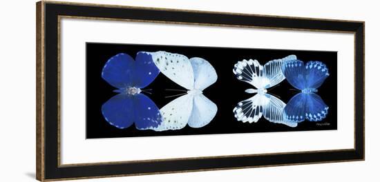 Miss Butterfly X-Ray Duo Black Pano XI-Philippe Hugonnard-Framed Photographic Print