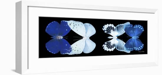 Miss Butterfly X-Ray Duo Black Pano XI-Philippe Hugonnard-Framed Photographic Print