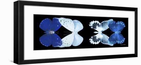 Miss Butterfly X-Ray Duo Black Pano XI-Philippe Hugonnard-Framed Photographic Print