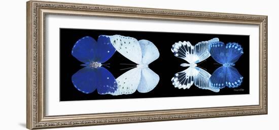 Miss Butterfly X-Ray Duo Black Pano XI-Philippe Hugonnard-Framed Photographic Print