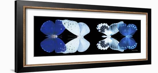 Miss Butterfly X-Ray Duo Black Pano XI-Philippe Hugonnard-Framed Photographic Print