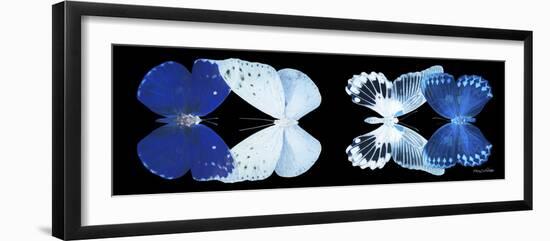 Miss Butterfly X-Ray Duo Black Pano XI-Philippe Hugonnard-Framed Photographic Print