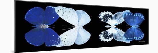 Miss Butterfly X-Ray Duo Black Pano XI-Philippe Hugonnard-Mounted Photographic Print