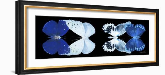 Miss Butterfly X-Ray Duo Black Pano XI-Philippe Hugonnard-Framed Photographic Print