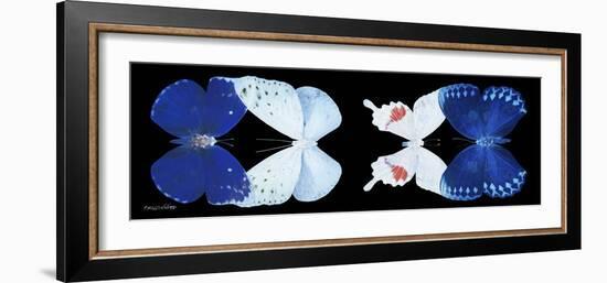 Miss Butterfly X-Ray Duo Black Pano XII-Philippe Hugonnard-Framed Photographic Print