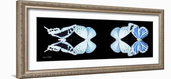 Miss Butterfly X-Ray Duo Black Pano XIII-Philippe Hugonnard-Framed Photographic Print