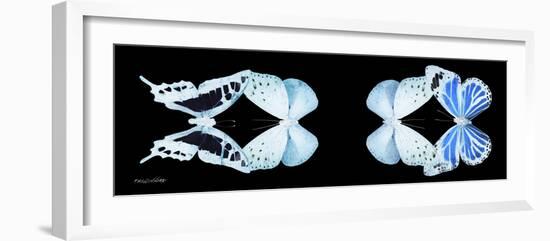 Miss Butterfly X-Ray Duo Black Pano XIII-Philippe Hugonnard-Framed Photographic Print