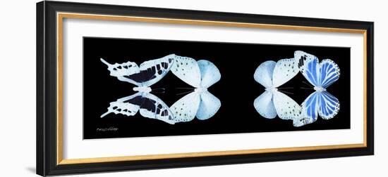 Miss Butterfly X-Ray Duo Black Pano XIII-Philippe Hugonnard-Framed Photographic Print