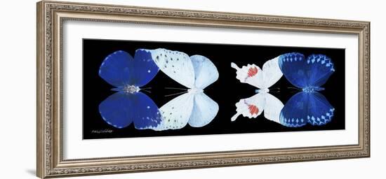 Miss Butterfly X-Ray Duo Black Pano-Philippe Hugonnard-Framed Photographic Print