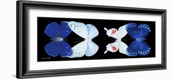 Miss Butterfly X-Ray Duo Black Pano-Philippe Hugonnard-Framed Photographic Print