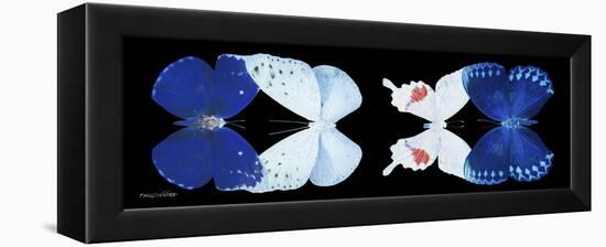 Miss Butterfly X-Ray Duo Black Pano-Philippe Hugonnard-Framed Premier Image Canvas