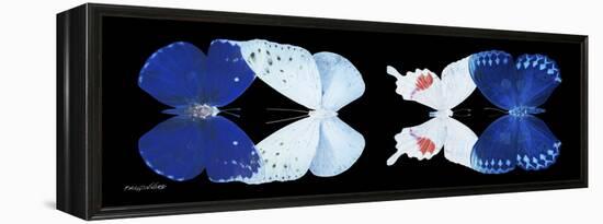 Miss Butterfly X-Ray Duo Black Pano-Philippe Hugonnard-Framed Premier Image Canvas