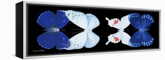 Miss Butterfly X-Ray Duo Black Pano-Philippe Hugonnard-Framed Premier Image Canvas