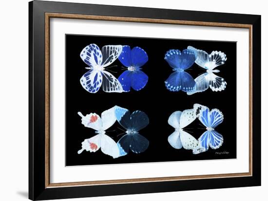 Miss Butterfly X-Ray Duo Black V-Philippe Hugonnard-Framed Photographic Print