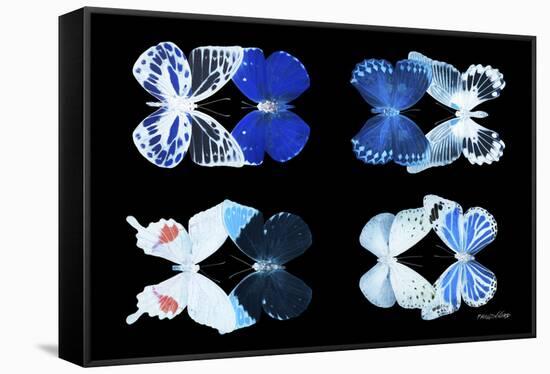 Miss Butterfly X-Ray Duo Black V-Philippe Hugonnard-Framed Stretched Canvas