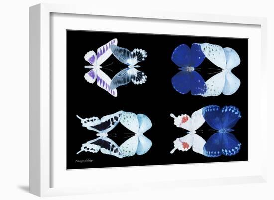 Miss Butterfly X-Ray Duo Black-Philippe Hugonnard-Framed Photographic Print