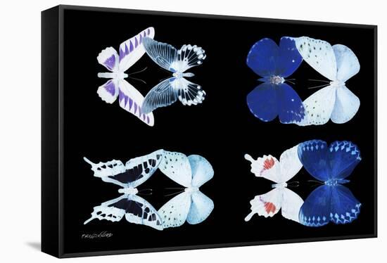 Miss Butterfly X-Ray Duo Black-Philippe Hugonnard-Framed Stretched Canvas