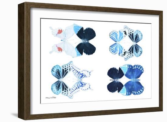 Miss Butterfly X-Ray Duo White II-Philippe Hugonnard-Framed Photographic Print