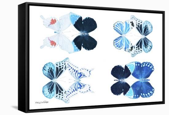 Miss Butterfly X-Ray Duo White II-Philippe Hugonnard-Framed Stretched Canvas