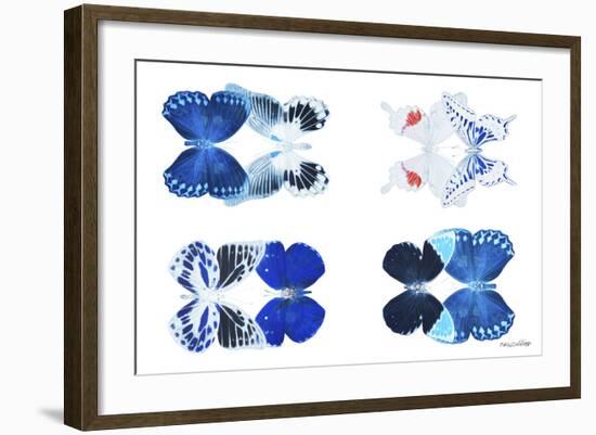 Miss Butterfly X-Ray Duo White III-Philippe Hugonnard-Framed Photographic Print