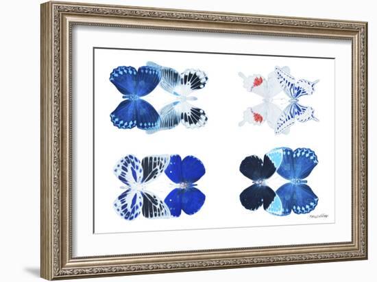 Miss Butterfly X-Ray Duo White III-Philippe Hugonnard-Framed Photographic Print