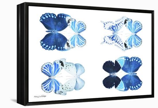 Miss Butterfly X-Ray Duo White IV-Philippe Hugonnard-Framed Premier Image Canvas
