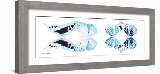 Miss Butterfly X-Ray Duo White Pano II-Philippe Hugonnard-Framed Photographic Print