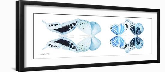 Miss Butterfly X-Ray Duo White Pano II-Philippe Hugonnard-Framed Photographic Print