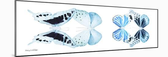 Miss Butterfly X-Ray Duo White Pano II-Philippe Hugonnard-Mounted Premium Photographic Print