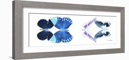 Miss Butterfly X-Ray Duo White Pano III-Philippe Hugonnard-Framed Photographic Print