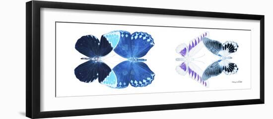 Miss Butterfly X-Ray Duo White Pano III-Philippe Hugonnard-Framed Photographic Print