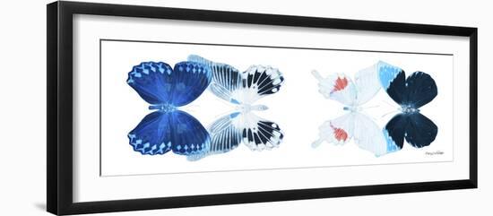 Miss Butterfly X-Ray Duo White Pano IV-Philippe Hugonnard-Framed Photographic Print