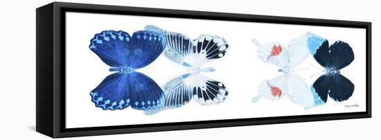 Miss Butterfly X-Ray Duo White Pano IV-Philippe Hugonnard-Framed Stretched Canvas