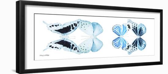 Miss Butterfly X-Ray Duo White Pano IX-Philippe Hugonnard-Framed Photographic Print