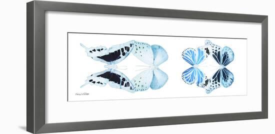 Miss Butterfly X-Ray Duo White Pano IX-Philippe Hugonnard-Framed Photographic Print