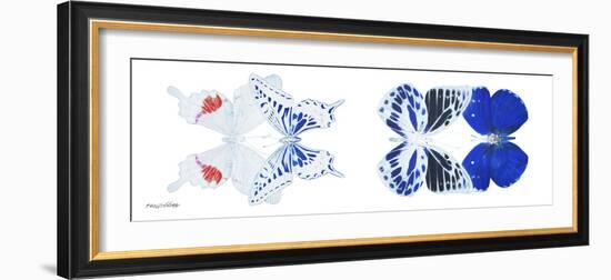 Miss Butterfly X-Ray Duo White Pano V-Philippe Hugonnard-Framed Photographic Print