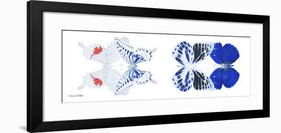 Miss Butterfly X-Ray Duo White Pano V-Philippe Hugonnard-Framed Photographic Print