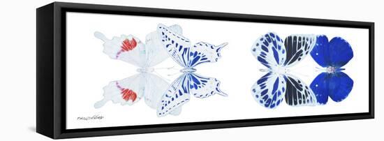 Miss Butterfly X-Ray Duo White Pano V-Philippe Hugonnard-Framed Stretched Canvas