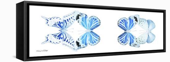 Miss Butterfly X-Ray Duo White Pano VI-Philippe Hugonnard-Framed Stretched Canvas