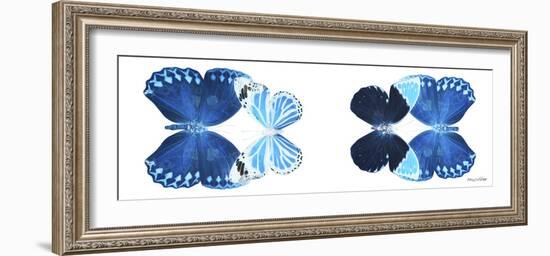 Miss Butterfly X-Ray Duo White Pano VII-Philippe Hugonnard-Framed Photographic Print