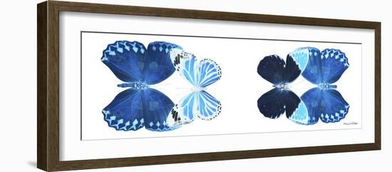 Miss Butterfly X-Ray Duo White Pano VII-Philippe Hugonnard-Framed Photographic Print