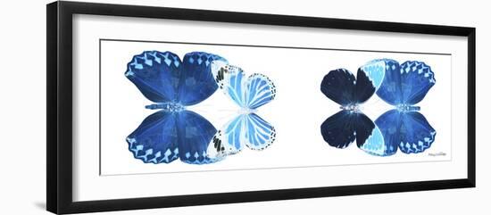 Miss Butterfly X-Ray Duo White Pano VII-Philippe Hugonnard-Framed Photographic Print