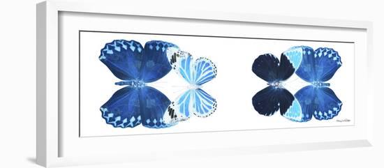 Miss Butterfly X-Ray Duo White Pano VII-Philippe Hugonnard-Framed Photographic Print