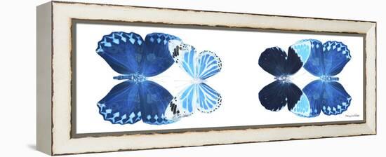 Miss Butterfly X-Ray Duo White Pano VII-Philippe Hugonnard-Framed Premier Image Canvas