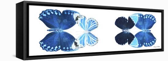 Miss Butterfly X-Ray Duo White Pano VII-Philippe Hugonnard-Framed Stretched Canvas